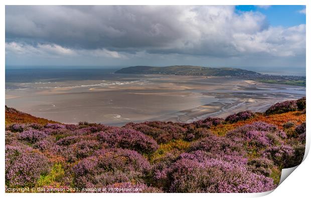 Views around Conwy Mountain with the heather out Print by Gail Johnson