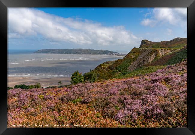 Views around Conwy Mountain with the heather out Framed Print by Gail Johnson