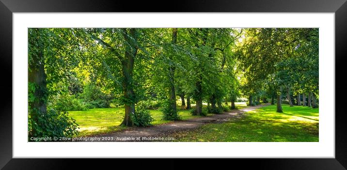 Afternoon Avenue - (Panorama.) Framed Mounted Print by 28sw photography