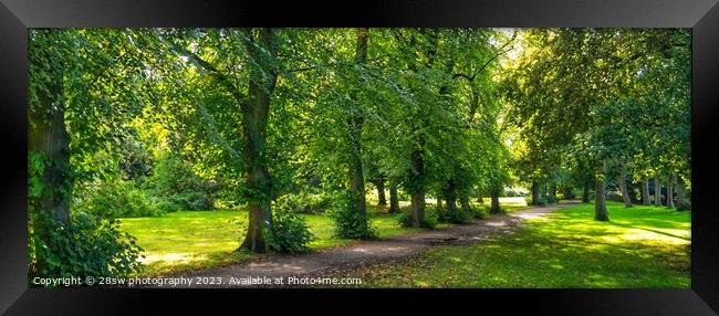 Afternoon Avenue - (Panorama.) Framed Print by 28sw photography