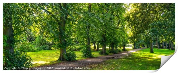 Afternoon Avenue - (Panorama.) Print by 28sw photography