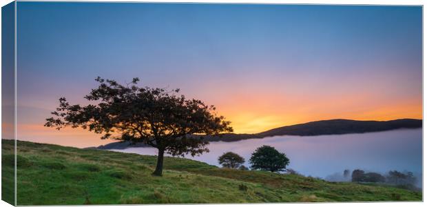 Lone Tree Over Coniston At Sunrise Canvas Print by Phil Durkin DPAGB BPE4