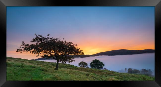 Lone Tree Over Coniston At Sunrise Framed Print by Phil Durkin DPAGB BPE4