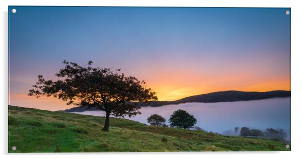 Lone Tree Over Coniston At Sunrise Acrylic by Phil Durkin DPAGB BPE4