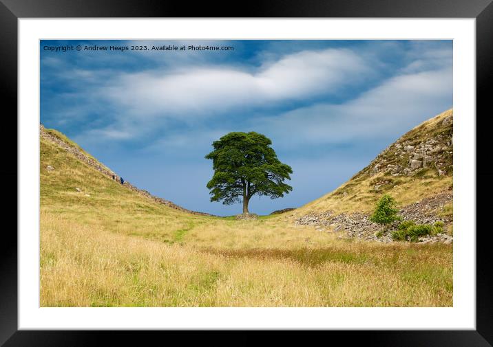 Sycamore gap Framed Mounted Print by Andrew Heaps