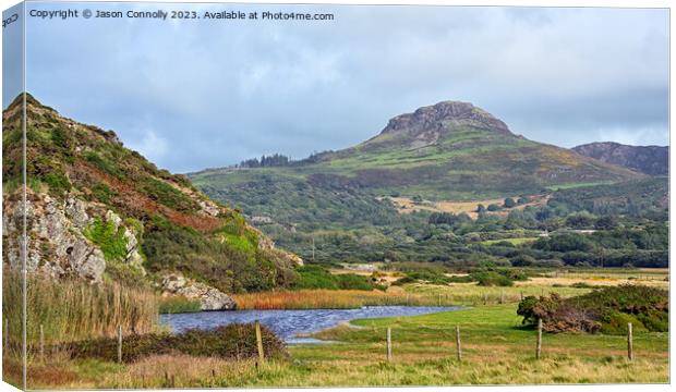 Moel-Y-Gest, Wales Canvas Print by Jason Connolly