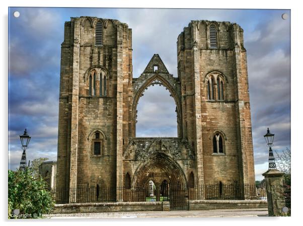 Historic Elgin Cathedral Acrylic by Tom McPherson