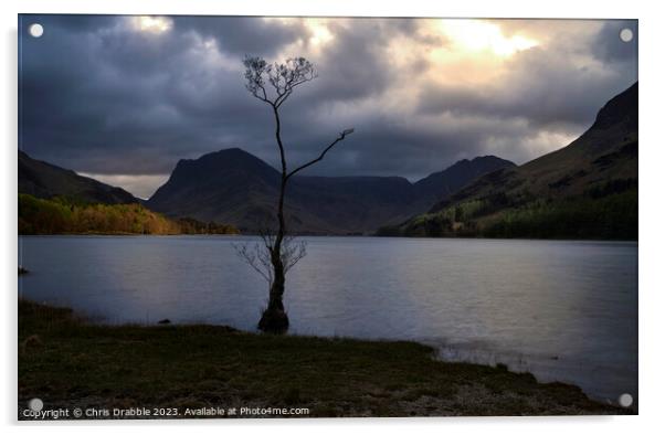 Buttermere light Acrylic by Chris Drabble