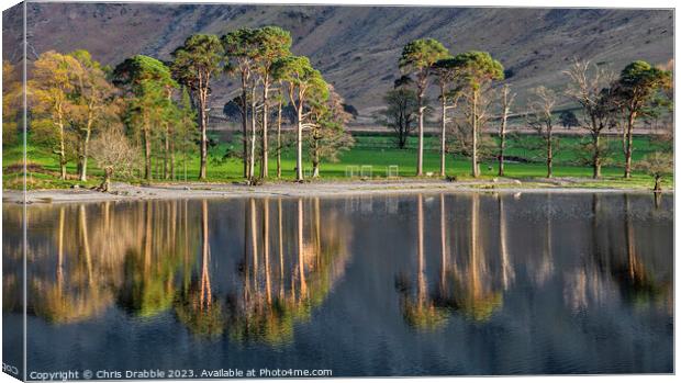 Buttermere Reflections Canvas Print by Chris Drabble