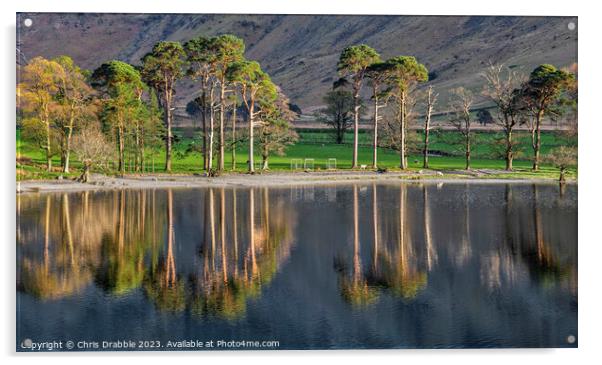 Buttermere Reflections Acrylic by Chris Drabble