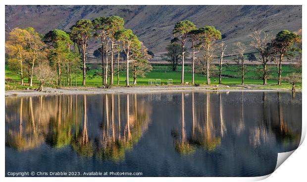 Buttermere Reflections Print by Chris Drabble