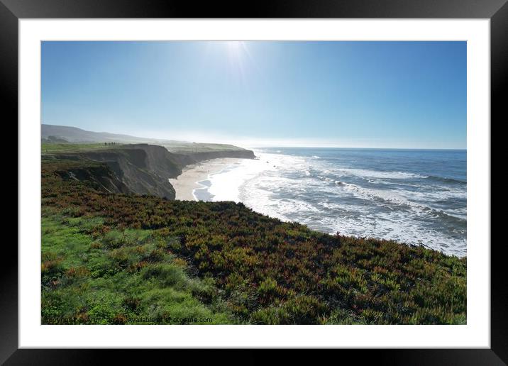 Half moon bay coastal trail California Framed Mounted Print by Arun 