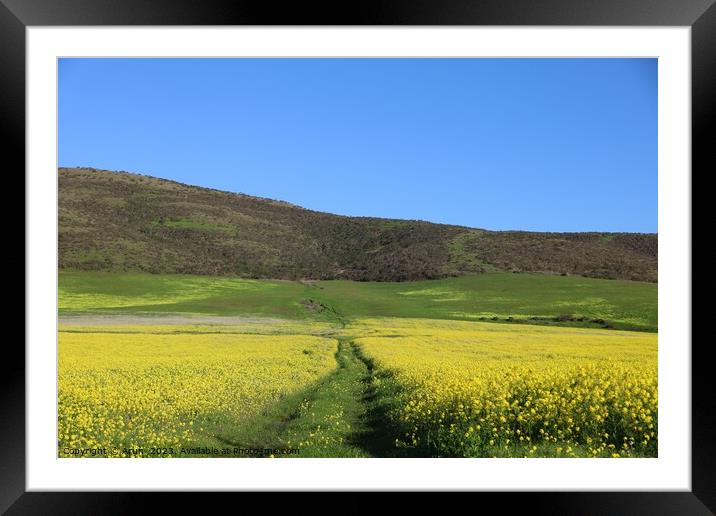 Wildflowers in a field on the road side Framed Mounted Print by Arun 