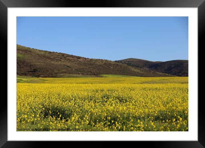 Wildflowers in a field on the road side Framed Mounted Print by Arun 