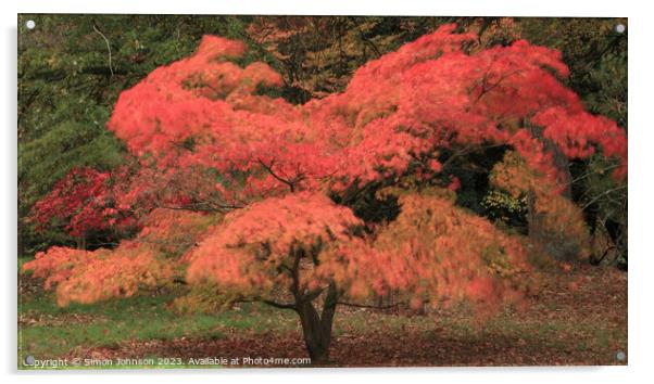 Autumnal Acer colour with ICM Acrylic by Simon Johnson
