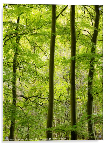 Woodland architecture  Acrylic by Simon Johnson