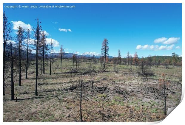 Lassen national forest California Print by Arun 