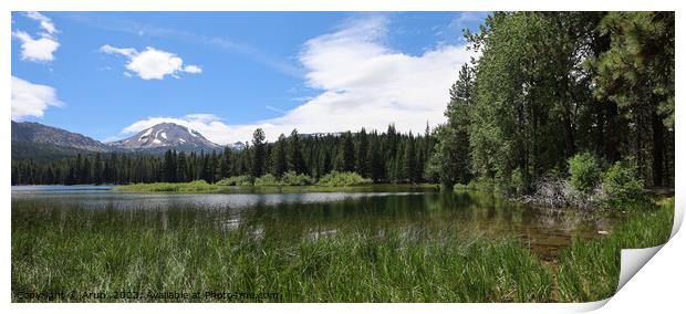 Lassen national park California Print by Arun 