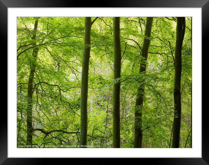 Plant leaves Framed Mounted Print by Simon Johnson