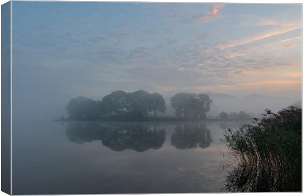 Mist on Esthwaite Water Canvas Print by Chester Tugwell