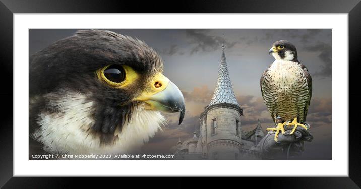 Peregrine Falcon and Castle Framed Mounted Print by Chris Mobberley