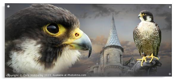 Peregrine Falcon and Castle Acrylic by Chris Mobberley
