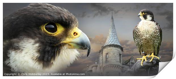 Peregrine Falcon and Castle Print by Chris Mobberley
