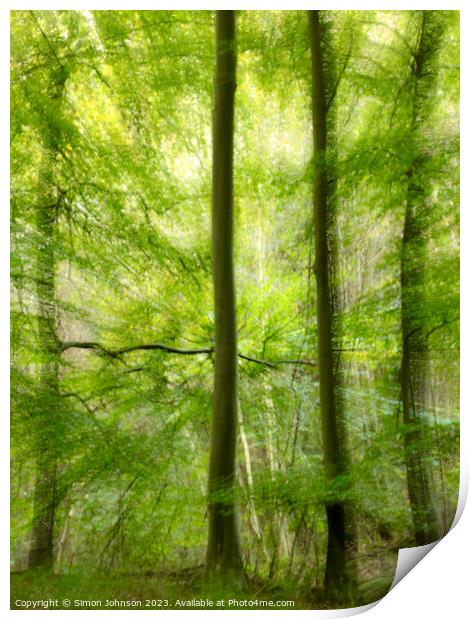   woodland multiple exposure Print by Simon Johnson