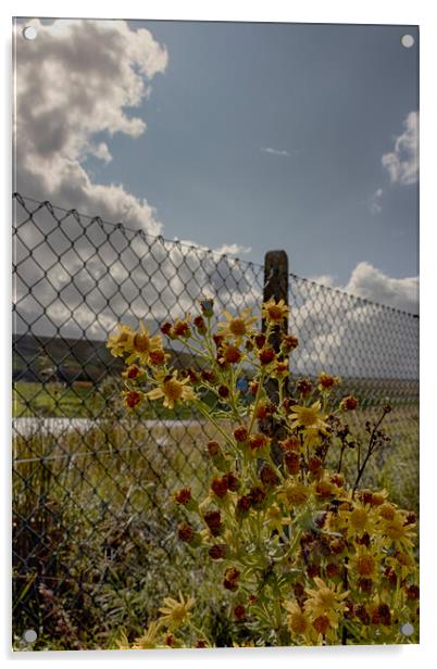 Roadside Wild Flowers Acrylic by Glen Allen