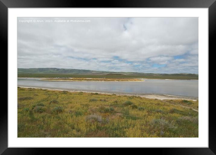 Wildflowers at Carrizo Plain National Monument and Soda lake Framed Mounted Print by Arun 