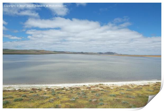 Wildflowers at Carrizo Plain National Monument and Soda lake Print by Arun 