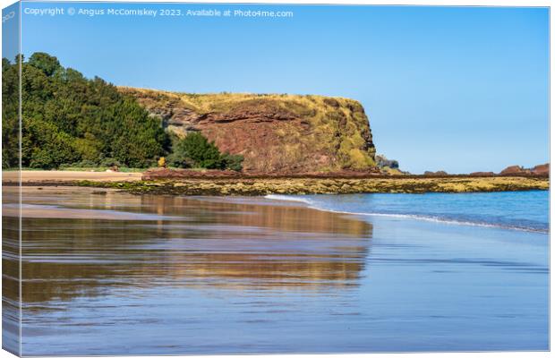 Seacliff Beach reflections, East Lothian, Scotland Canvas Print by Angus McComiskey