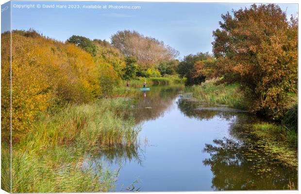 Royal Military Canal Canvas Print by David Hare