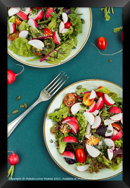 Salad, healthy vegan lunch. Framed Print by Mykola Lunov Mykola