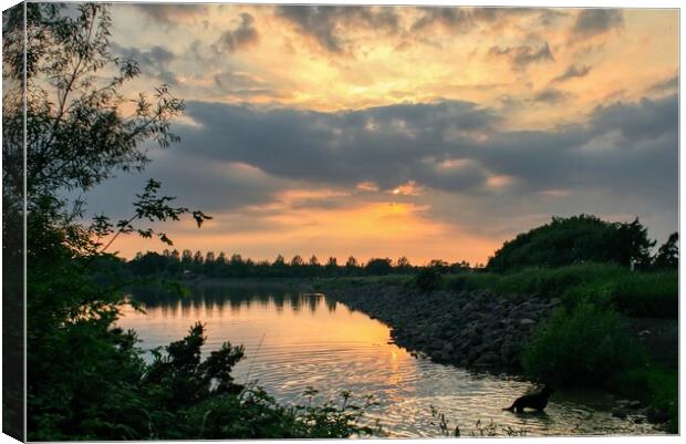 Daventry Country Park 3 Canvas Print by Helkoryo Photography