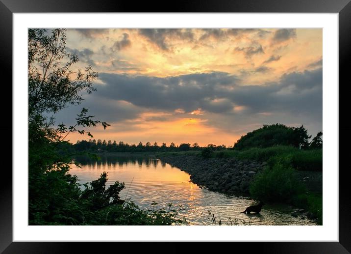 Daventry Country Park 3 Framed Mounted Print by Helkoryo Photography