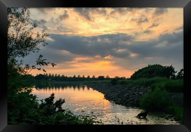 Daventry Country Park 3 Framed Print by Helkoryo Photography