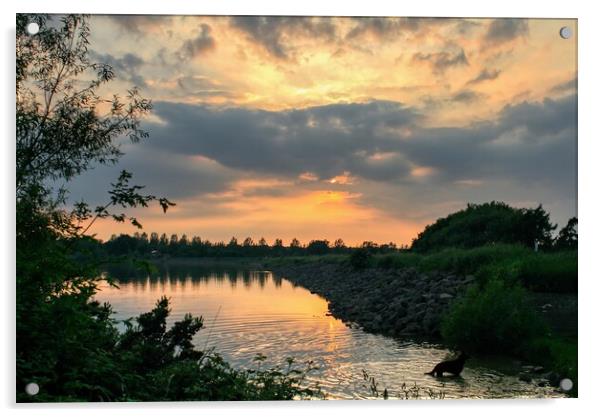 Daventry Country Park 3 Acrylic by Helkoryo Photography
