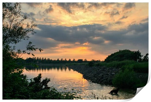 Daventry Country Park 3 Print by Helkoryo Photography