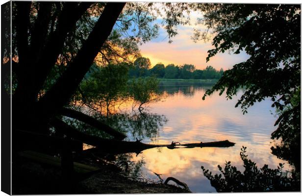 Daventry Country Park 1 Canvas Print by Helkoryo Photography
