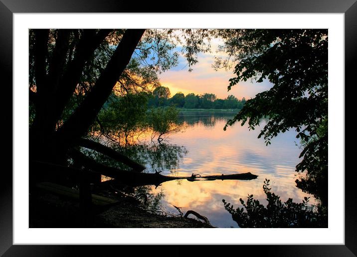 Daventry Country Park 1 Framed Mounted Print by Helkoryo Photography