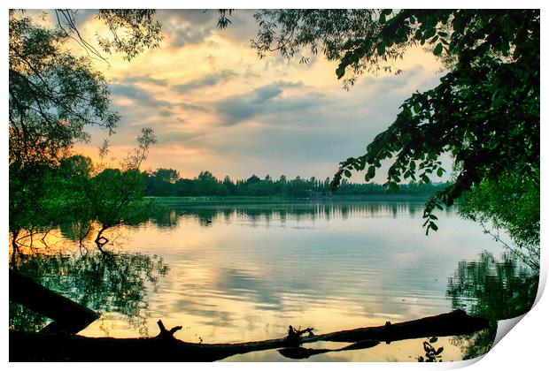 Daventry Country Park 2 Print by Helkoryo Photography