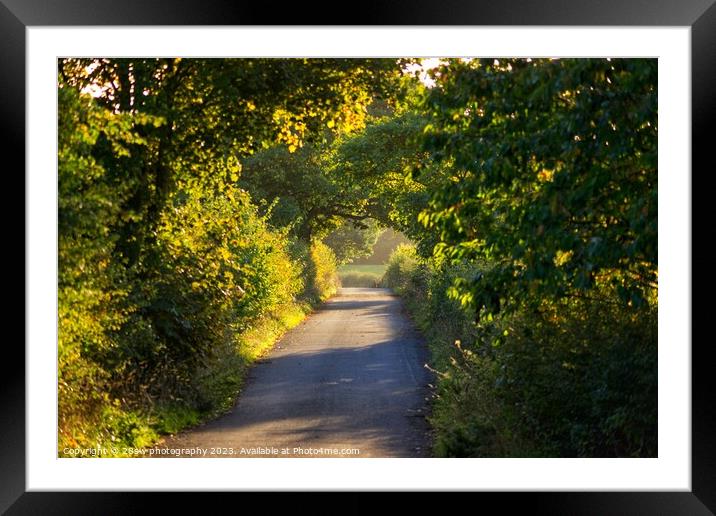 Golden Lane. Framed Mounted Print by 28sw photography