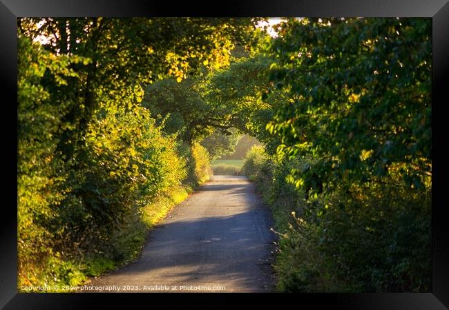 Golden Lane. Framed Print by 28sw photography