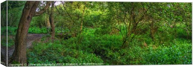 Woodland Serenity - (Panoramic.) Canvas Print by 28sw photography