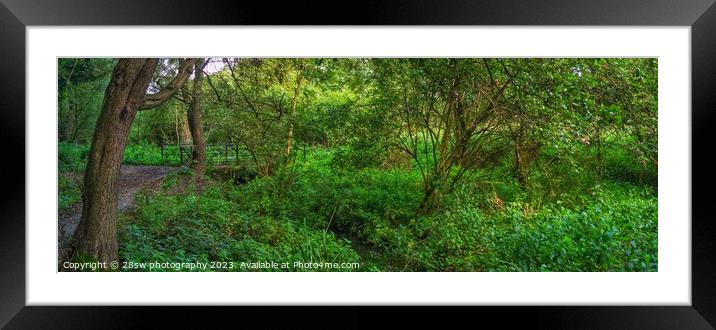 Woodland Serenity - (Panoramic.) Framed Mounted Print by 28sw photography