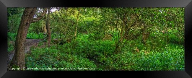Woodland Serenity - (Panoramic.) Framed Print by 28sw photography