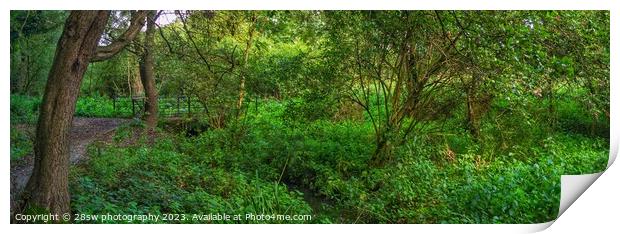Woodland Serenity - (Panoramic.) Print by 28sw photography