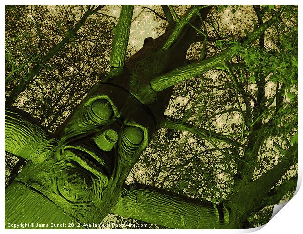 The Talking Tree Print by Jasna Buncic