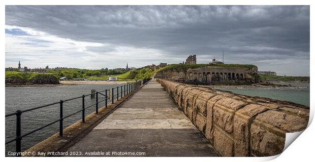 Looking Back Along Tynemouth Pier  Print by Ray Pritchard